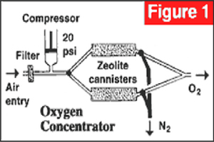 Figure 1: oxygen Conc.